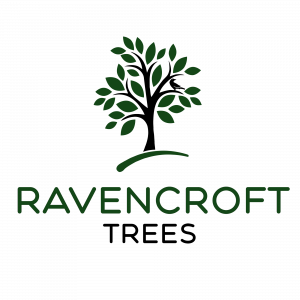 Ravencroft Trees